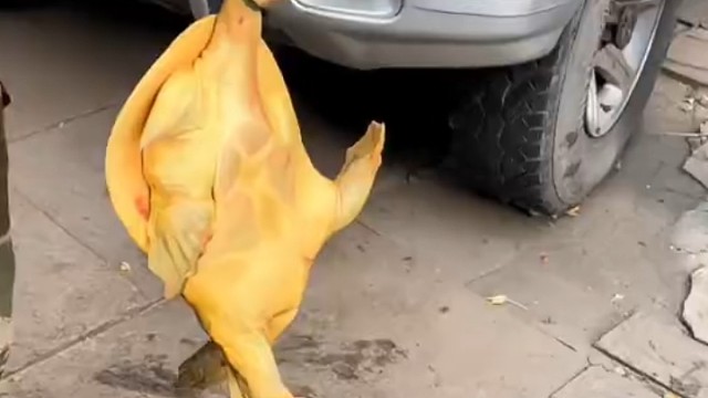 你到底卖不卖？