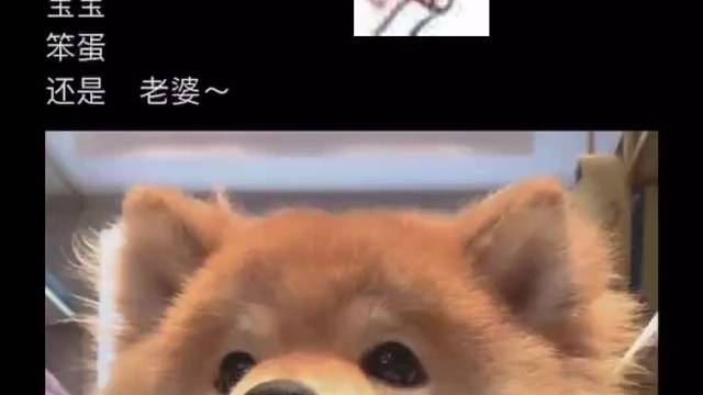 想听我怎么叫你呀