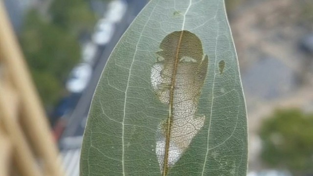 美丽的不止是人，还有三观