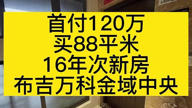 首付120万
买88平米
16年次新房
布吉万科金域中央