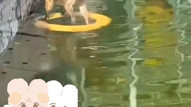 西游记中孙悟空划船拜师真的没骗人