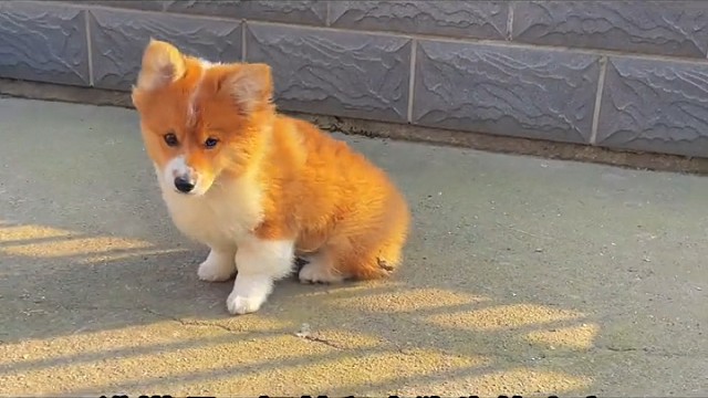 拜托土基真的超好看的好不好