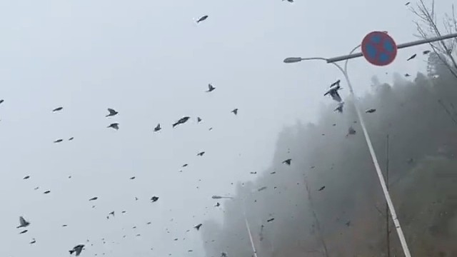 怎么回事北境传来消息了吗