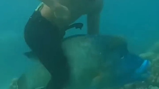 没想到水里也能被人骑