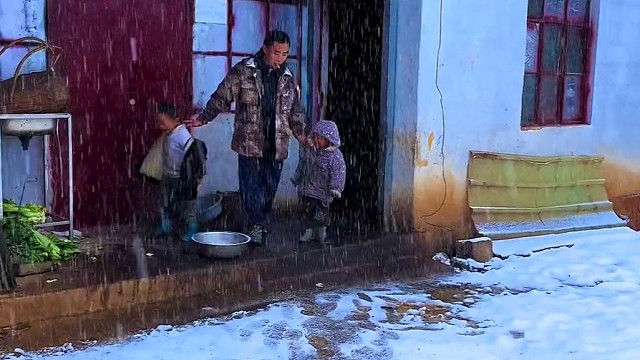 哈喽啊！树哥。