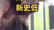 可以當(dāng)個(gè)新游戲玩了 #消逝的光芒 #消逝的光芒2 #steam游戲