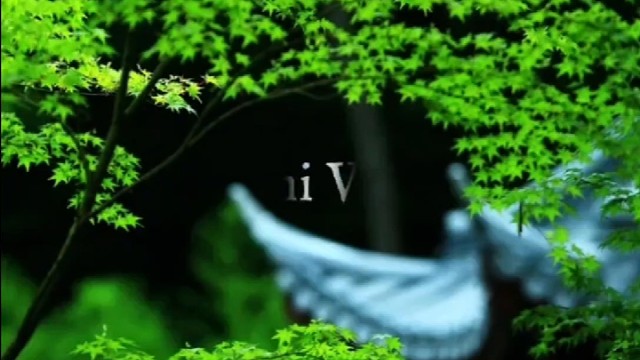 给自己心情放个假吧