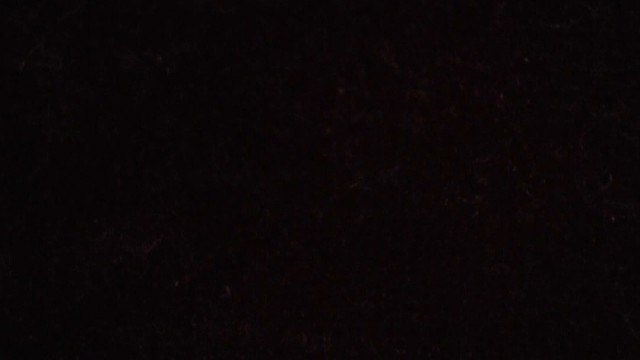 治愈你的心灵锁定17215琴师小羊