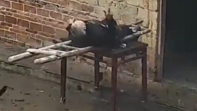 7旬父亲 爬楼梯收拾房顶不小心跌落，在外务工的儿子 看监控后泪崩