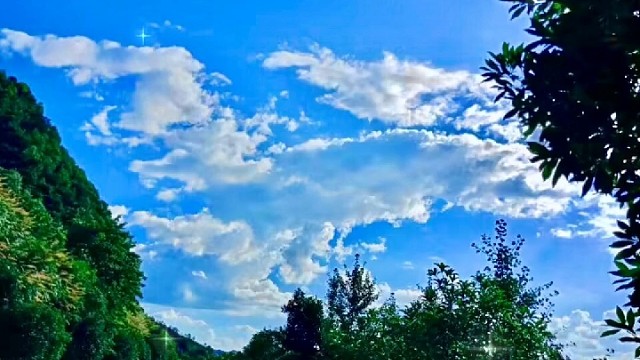 晚上有点事情处理一下，直播推迟哦！