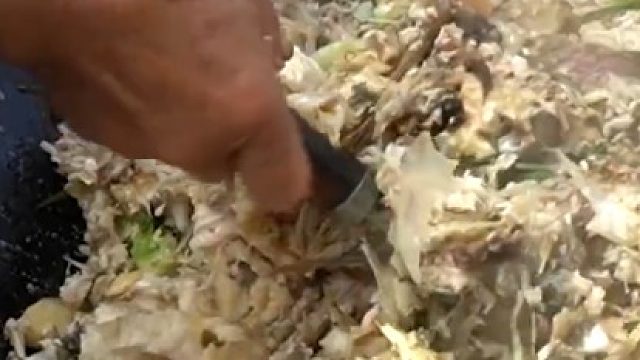 盐城大哥卖早餐，60斤鲢鱼带鳞煸渣熬一锅汤，有顾客天天来吃！