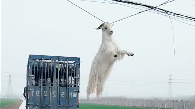 这种情况可以属于我吗