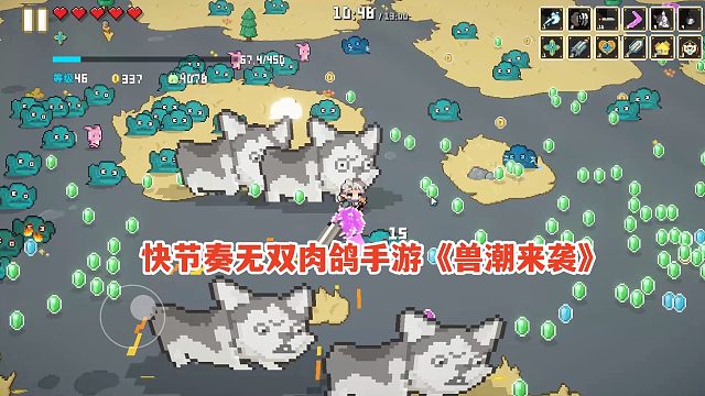 快节奏无双升级肉鸽手游！兽潮来袭试玩：炫酷技能，召唤狗子助战