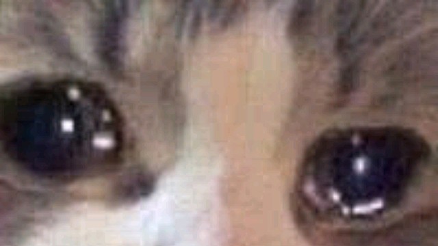 自信小伙口出狂言欲炫保险，只因哥七枪跪地求饶