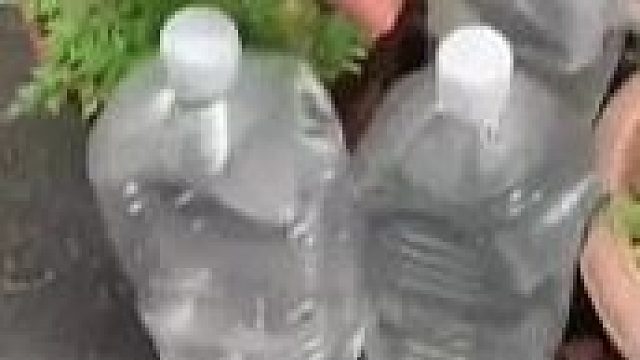 日本家门口，为啥放那么多罐装水