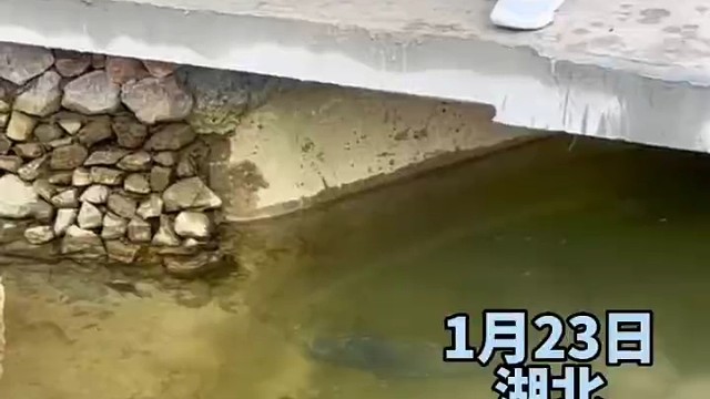 吃我的方式有很多，为啥你要用这种侮辱我