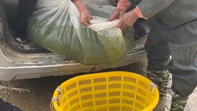 温柔点会不会好点