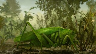 昆蟲模擬器《InsectWorlds》現(xiàn)已開放試玩Demo，2月24號上線8899