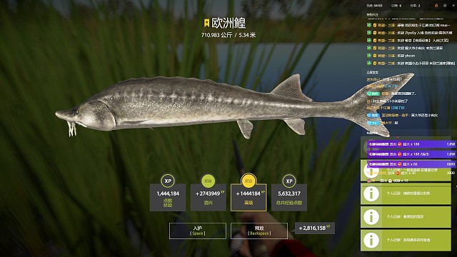 俄钓生涯第十六条星鳇入护。接鳇单