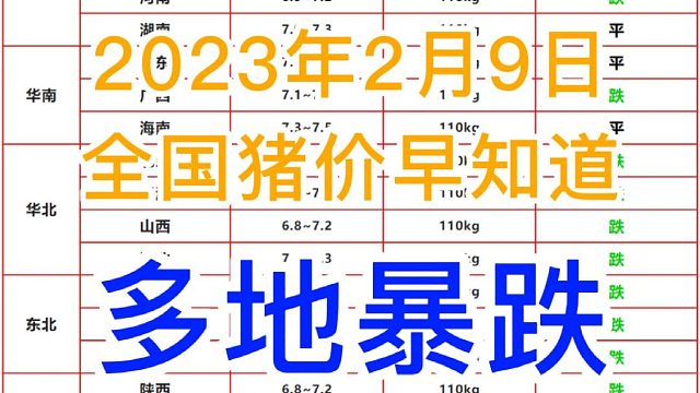 明日2月9日全国猪价早知道！紧急通知 多地猪价暴跌#猪价最新行情 #养猪人 #自繁自养 #明日猪价