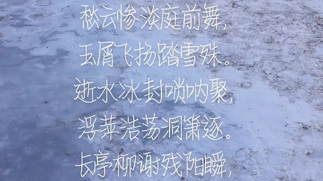 雪中赋……