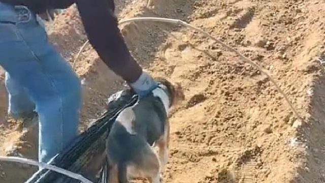 家里就不养闲人