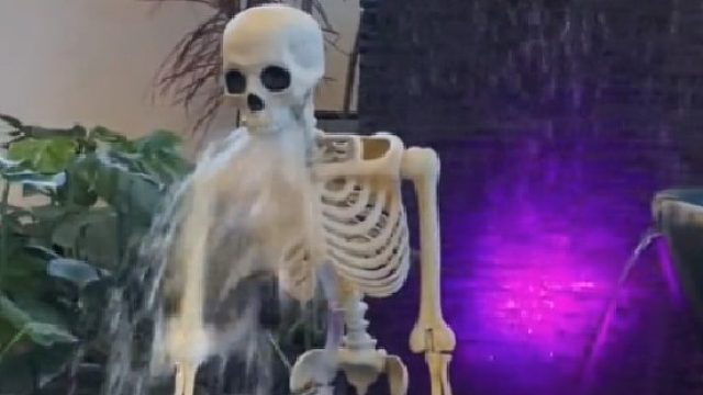 像不像喝多的你