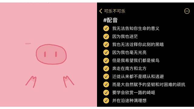 20岁之后好像很多东西都被开了加速器…