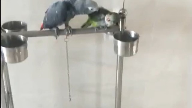 吻错对象了都不知道