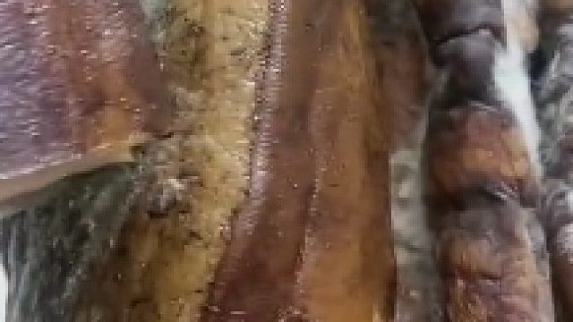 在贵州好好的，为啥一到深圳就变成这样了，什么原理？