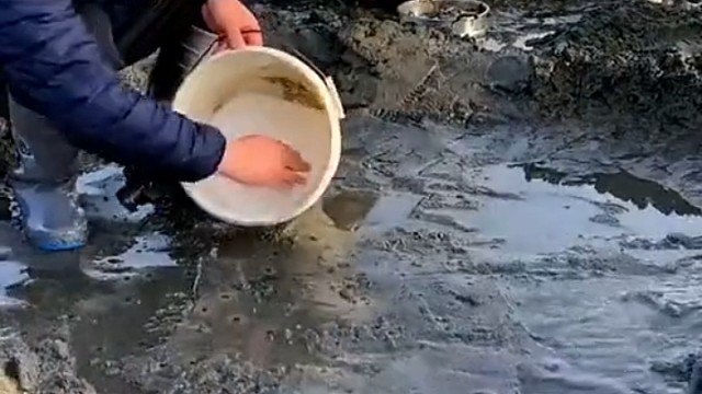 什么肥料这么管用？