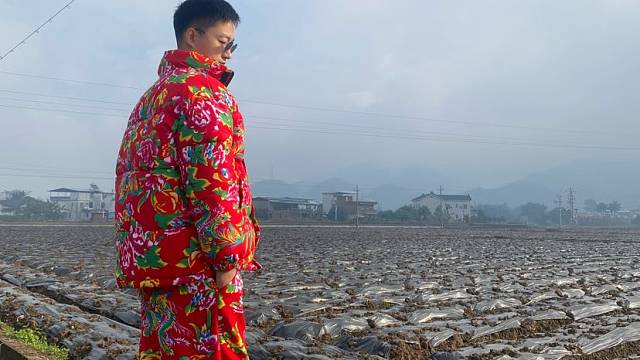 离开大城市回到家照顾老婆