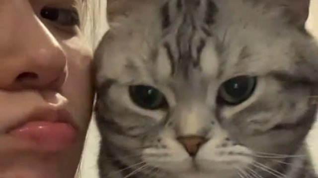 别说你们羡慕了 我也羡慕自己