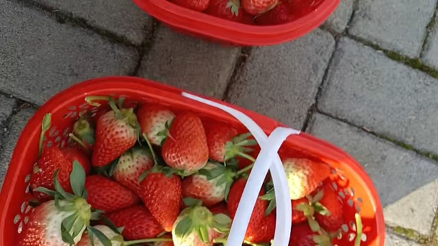 出来放风啦，一整天没有看电脑