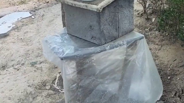 猫都给你揉迷糊了