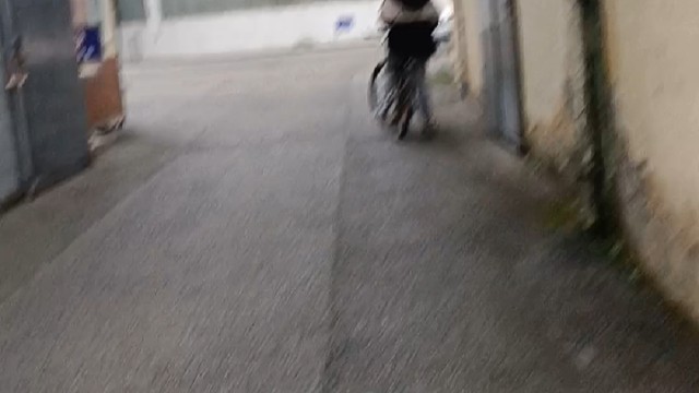 勇闯虎穴