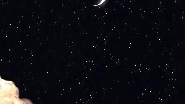 我也没看清什么东西