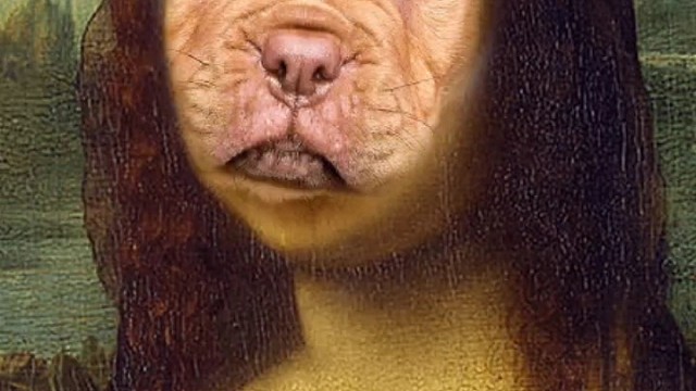 不要笑除非忍不住