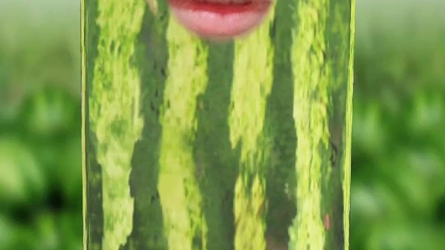 逝去白月光磁带