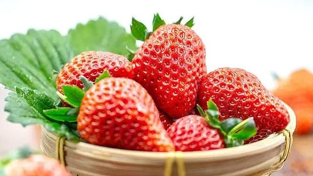 感谢 山椒鱼老板的大火锅哇 哎嘿嘿 开饭了 准备好了 今天也是鱼