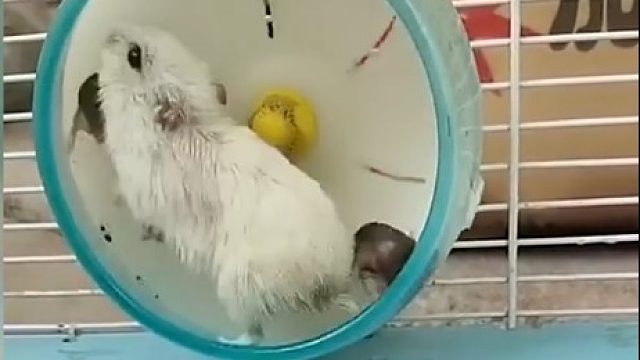 希望孩子成功从娃娃开始，我想这个母亲继续抑郁