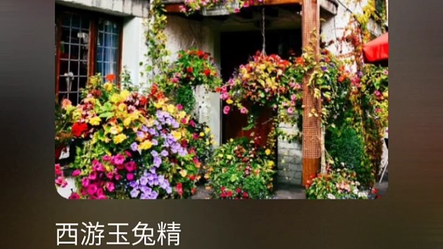 怎么可以吃兔兔呢