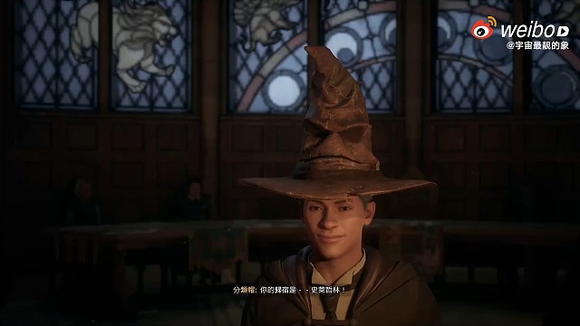 如愿以偿的自然分配到了野心勃勃颜值又第一的斯莱特林学院