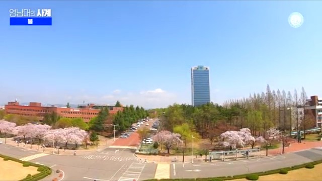 韩国大邱大学