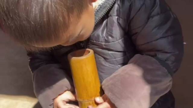 我的大怨种侄子