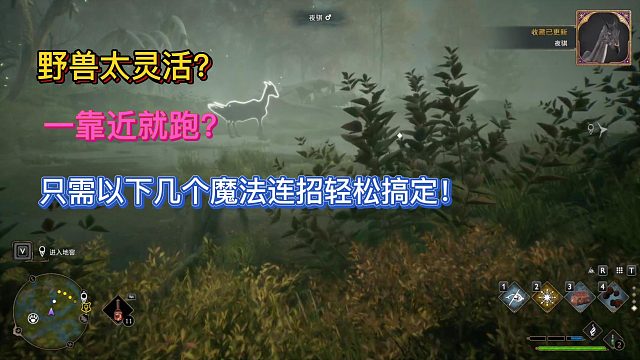 【三千游戏世界】野兽捕捉魔法连招小技巧
