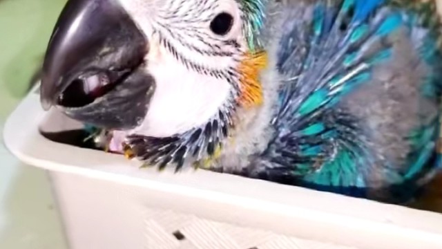 长大了就没小时候这么幸福了