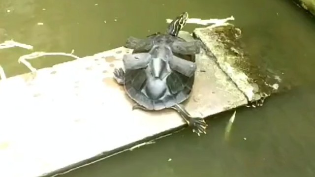 [惊呆]有点意思