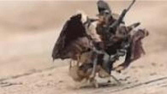 蝜蝂（fùbǎn）寓言中一种喜爱背东西的小虫