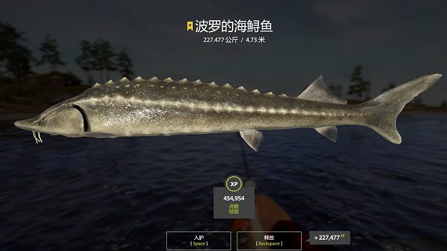 227kg星菠萝，总用时一小时十分